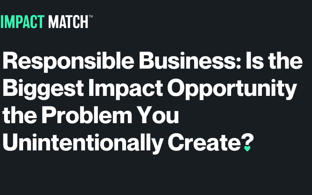 Responsible Business: Is the Biggest Impact Opportunity the Problem You Unintentionally Create?