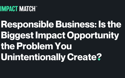 Responsible Business: Is the Biggest Impact Opportunity the Problem You Unintentionally Create?